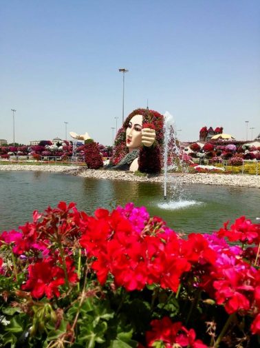 EL JARDIN DE ALA, los Miracle Garden de Dubai, un lugar en donde se junta la tecnologia y la belleza de las flores