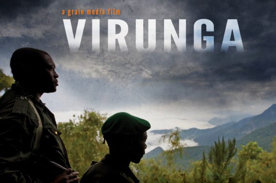 “VIRUNGA”, donde la NATURALEZA se enfrenta a la POLÍTICA (documental nominado al Oscar)